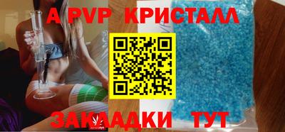 шишки Кингисепп