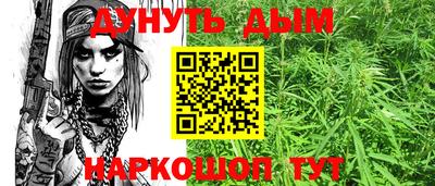 шишки Кингисепп