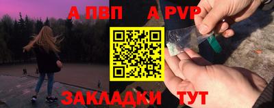 шишки Кингисепп